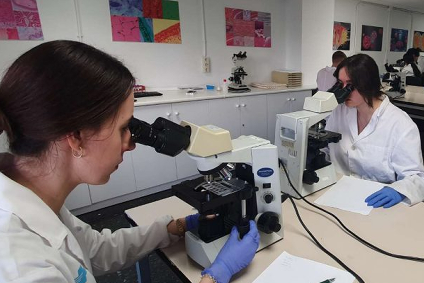 laboratori home